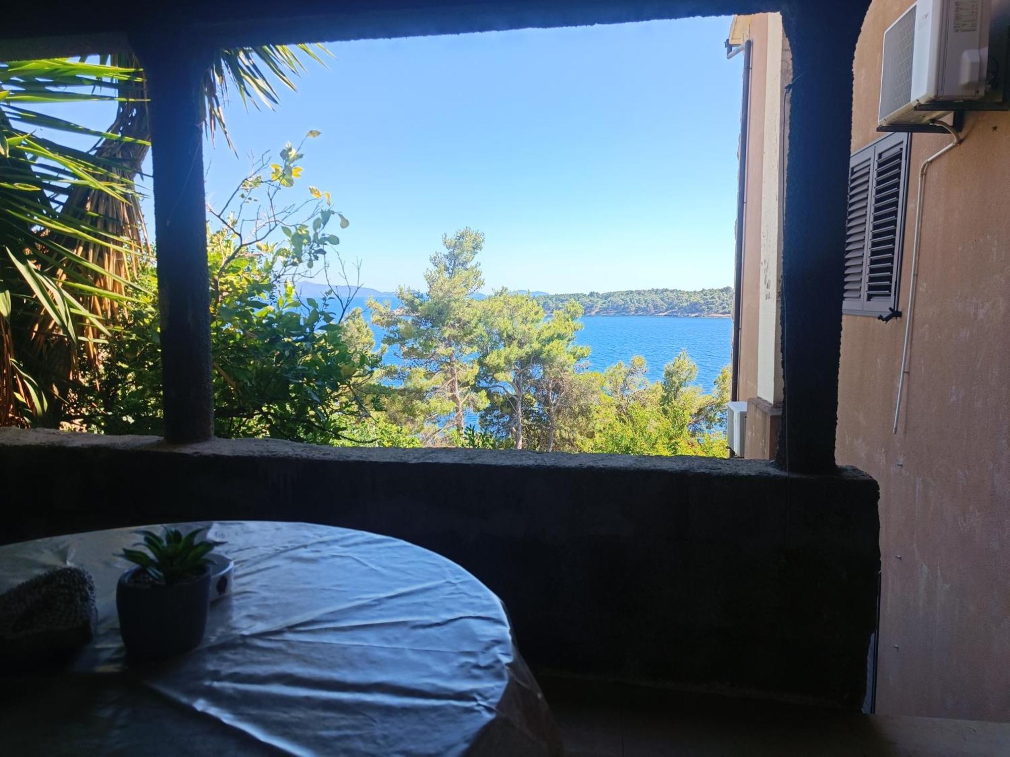 Bosnic Apartment